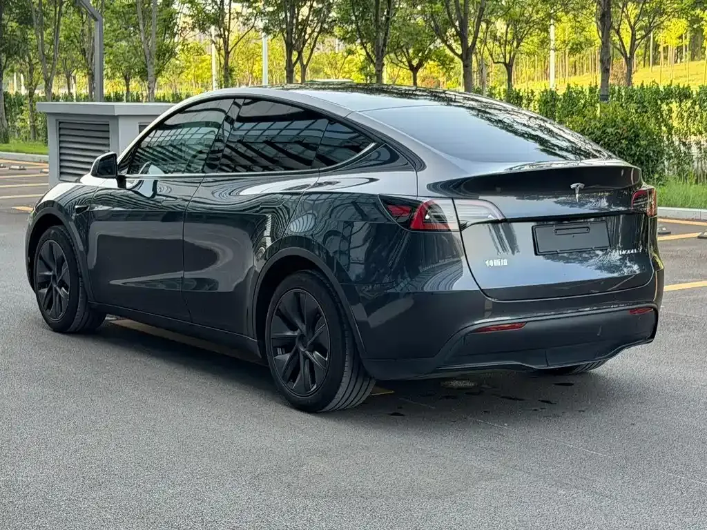 Tesla Model Y — фото 9