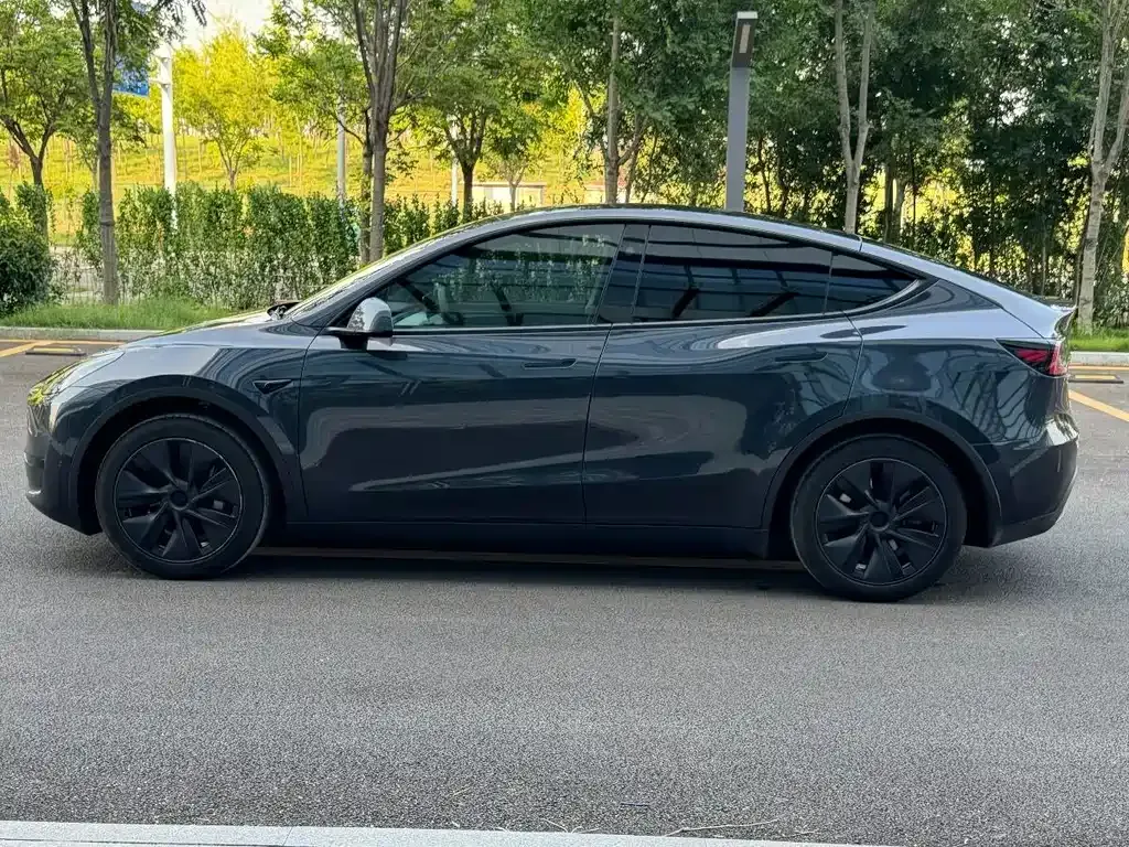 Tesla Model Y — фото 10