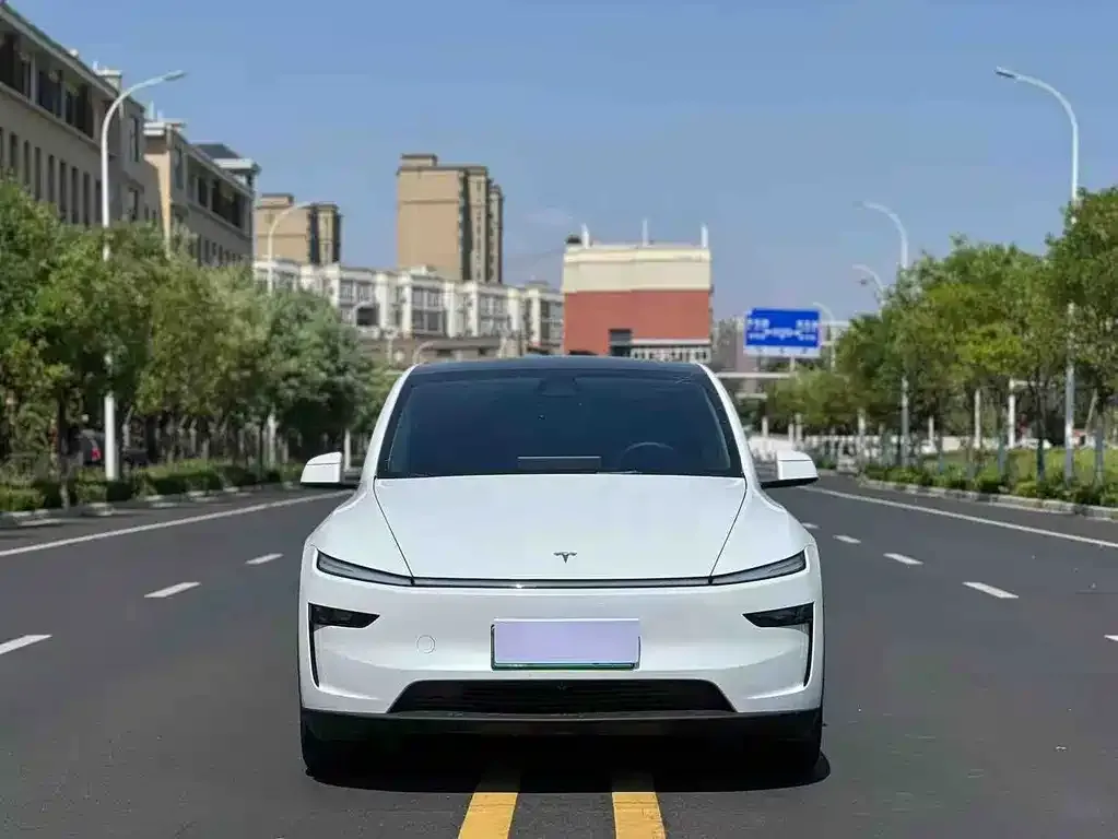 Tesla Model Y — фото 2