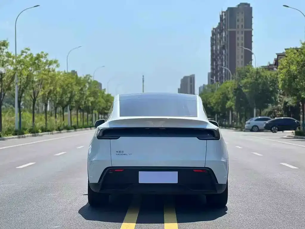 Tesla Model Y — фото 6
