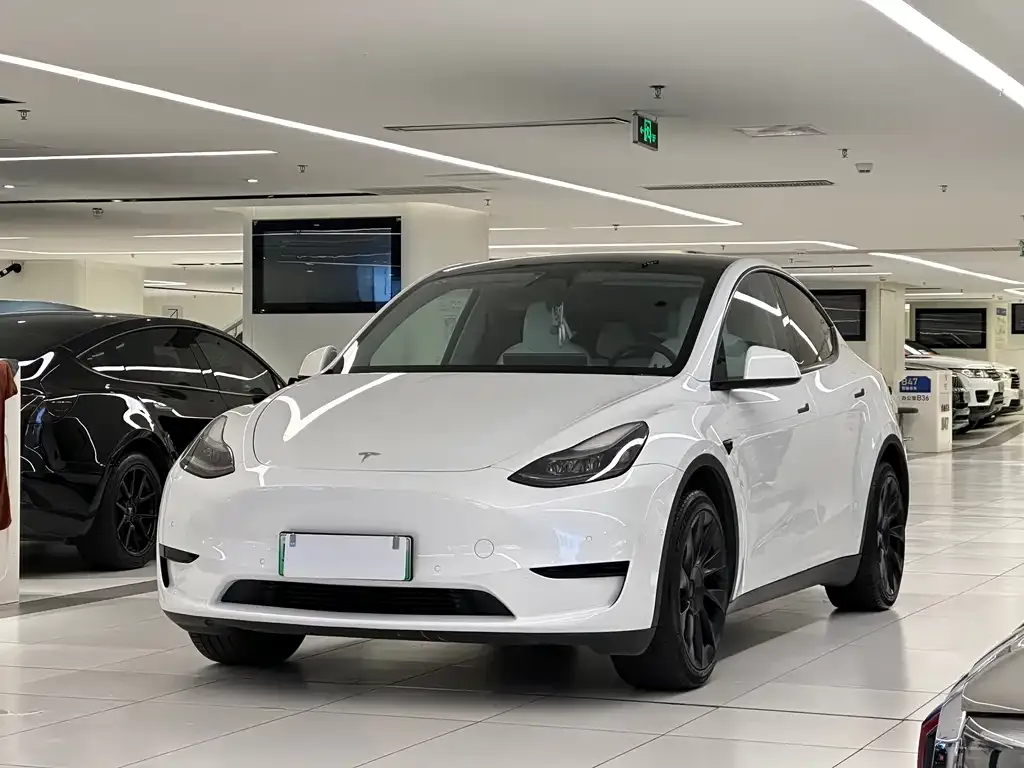 Tesla Model Y — фото 1