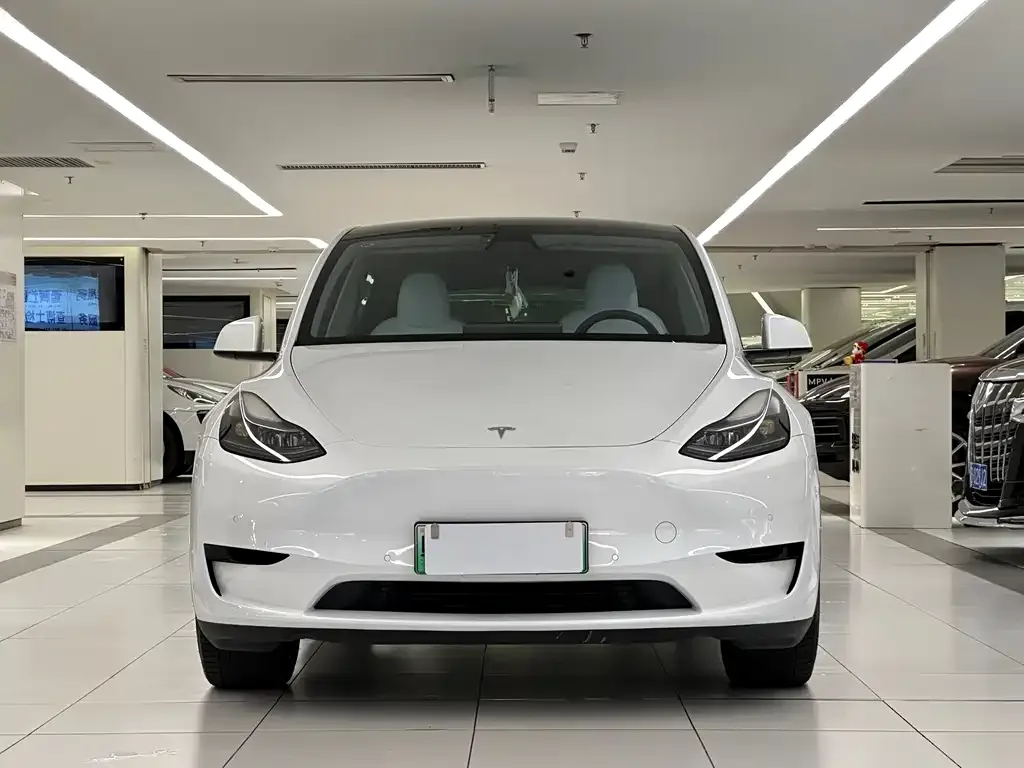 Tesla Model Y — фото 10