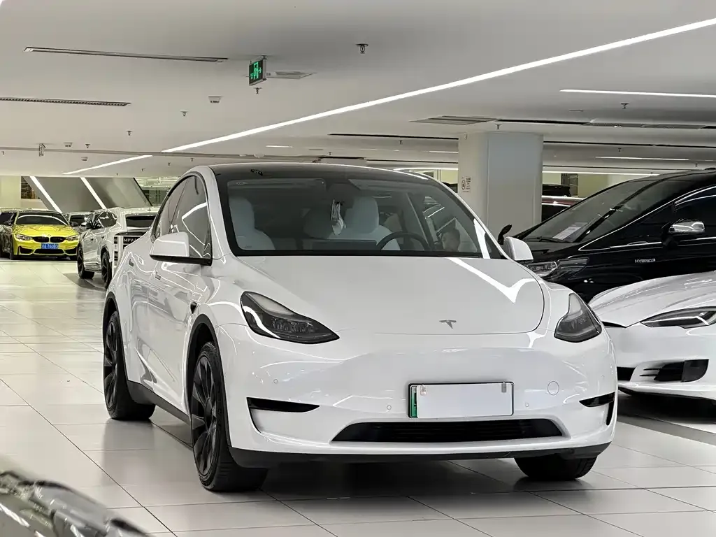 Tesla Model Y — фото 2