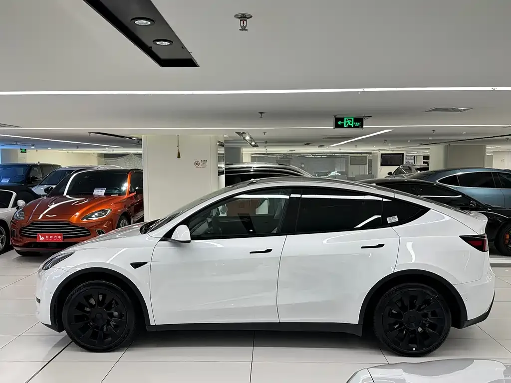 Tesla Model Y — фото 3