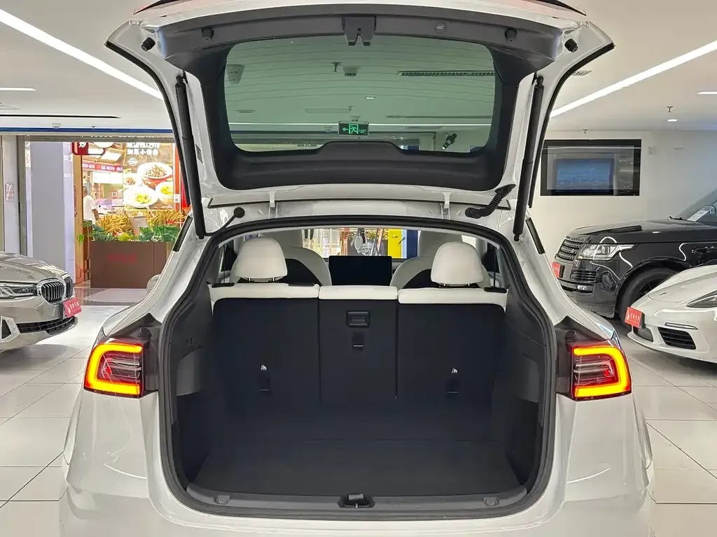 Tesla Model Y — фото 6