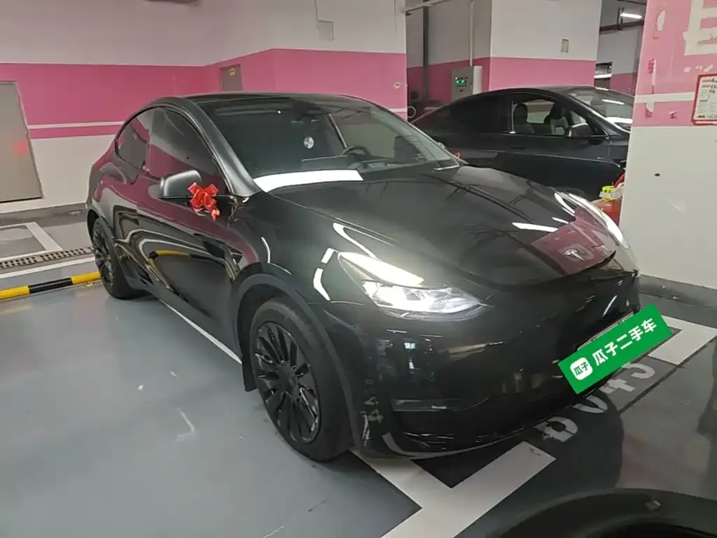 Tesla Model Y — фото 8