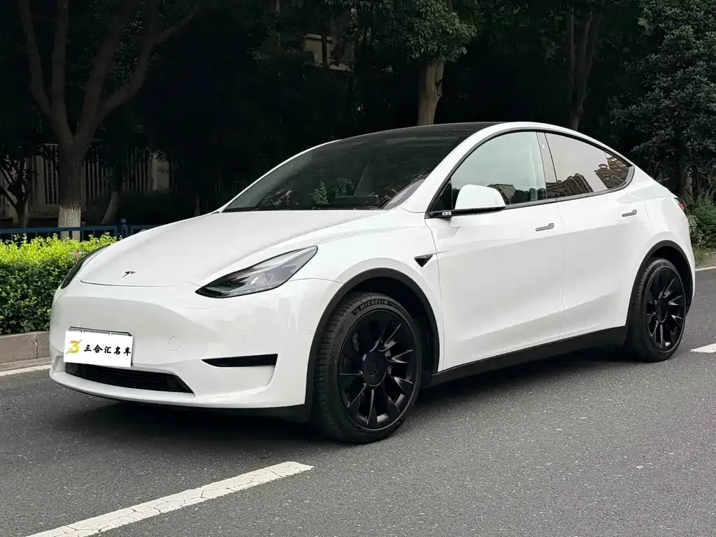 Tesla Model Y — фото 1