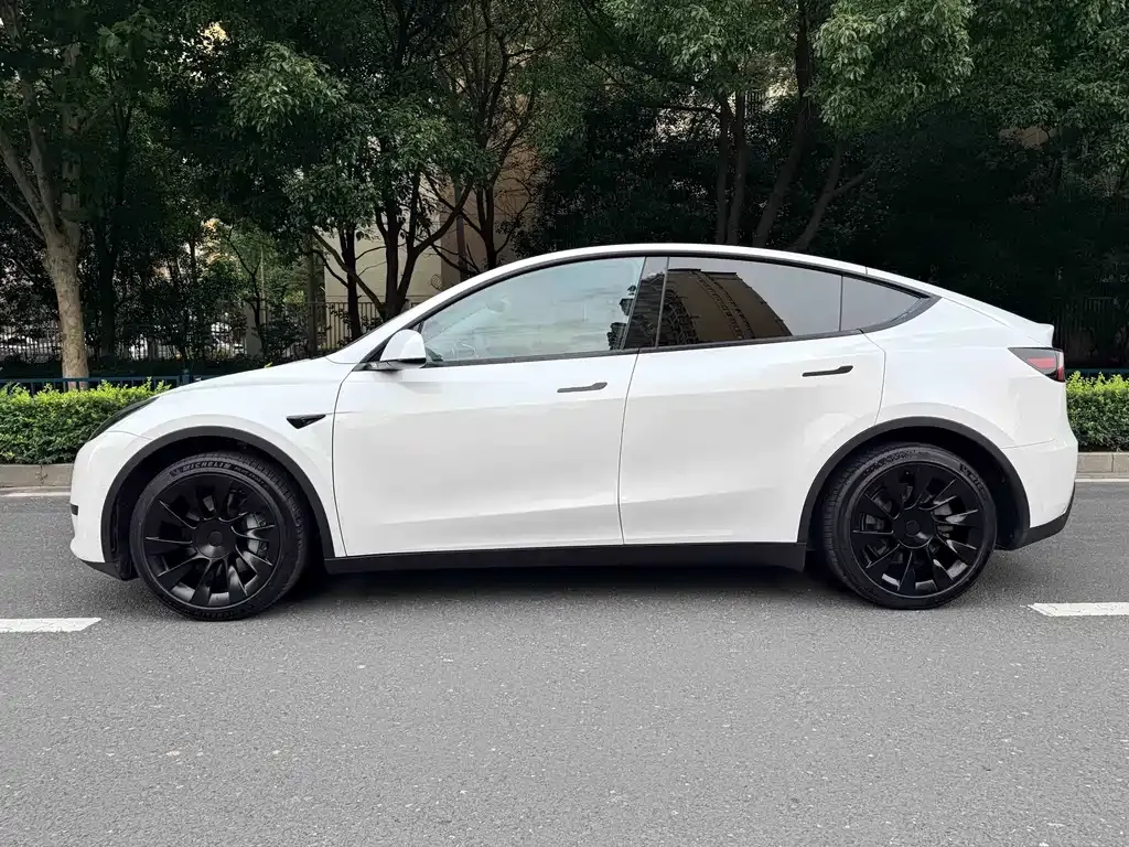 Tesla Model Y — фото 10