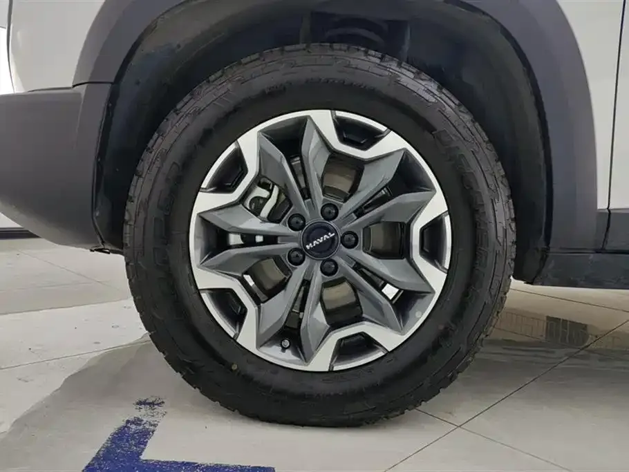 Haval Big Dog — фото 10