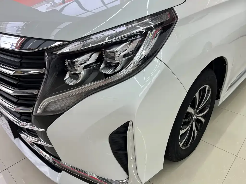 GAC Motor Trumpchi M8 2024 из CN, фото 9