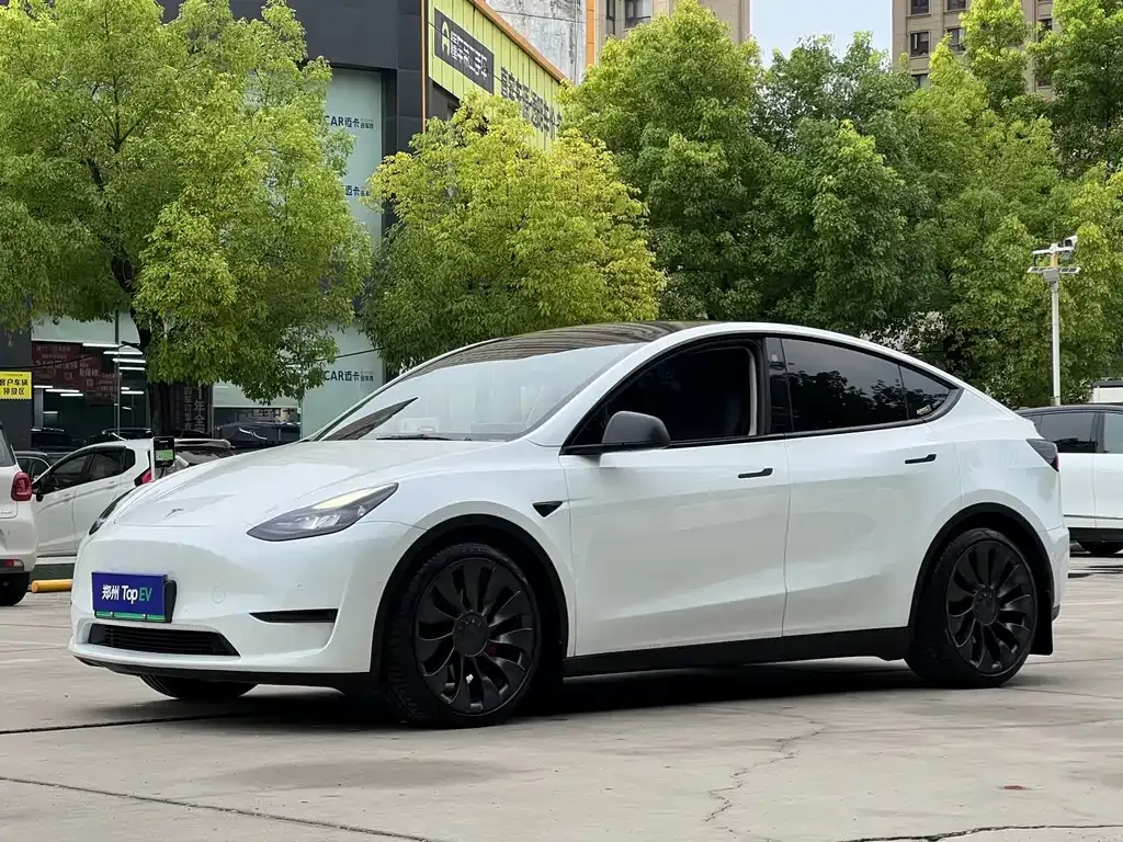 Tesla Model Y — фото 1