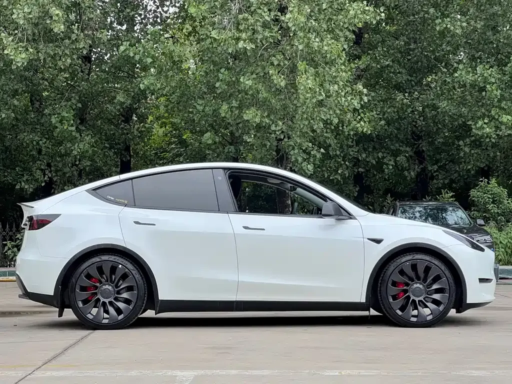 Tesla Model Y — фото 8