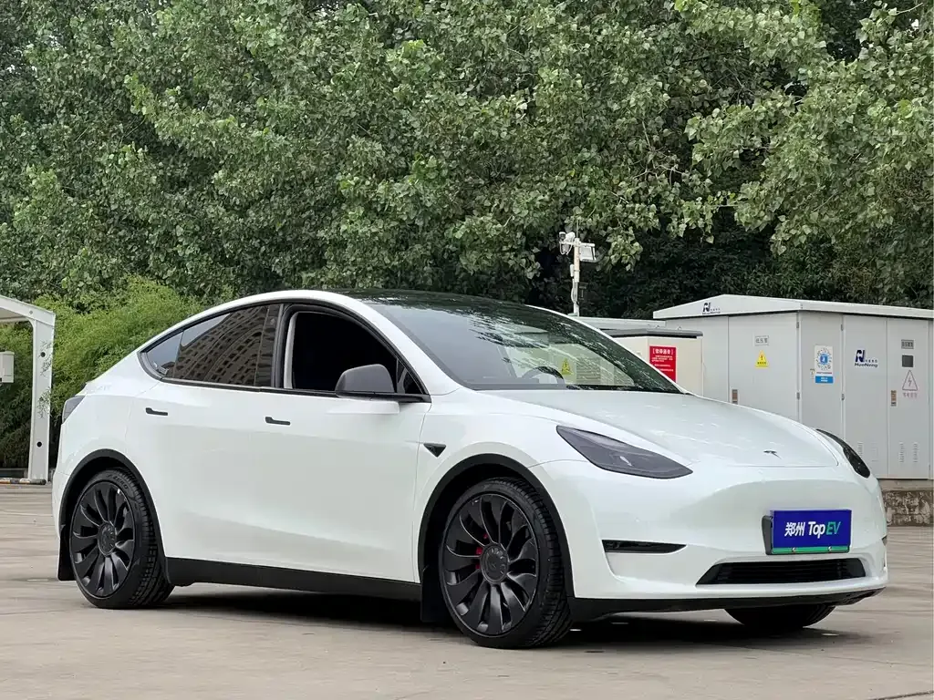 Tesla Model Y — фото 10