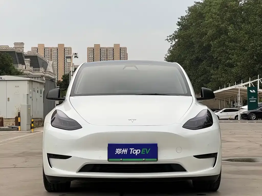 Tesla Model Y — фото 3