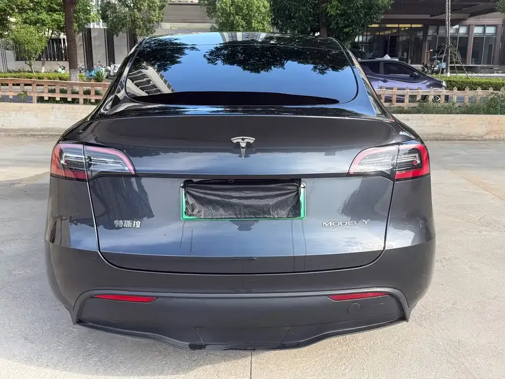 Tesla Model Y — фото 3