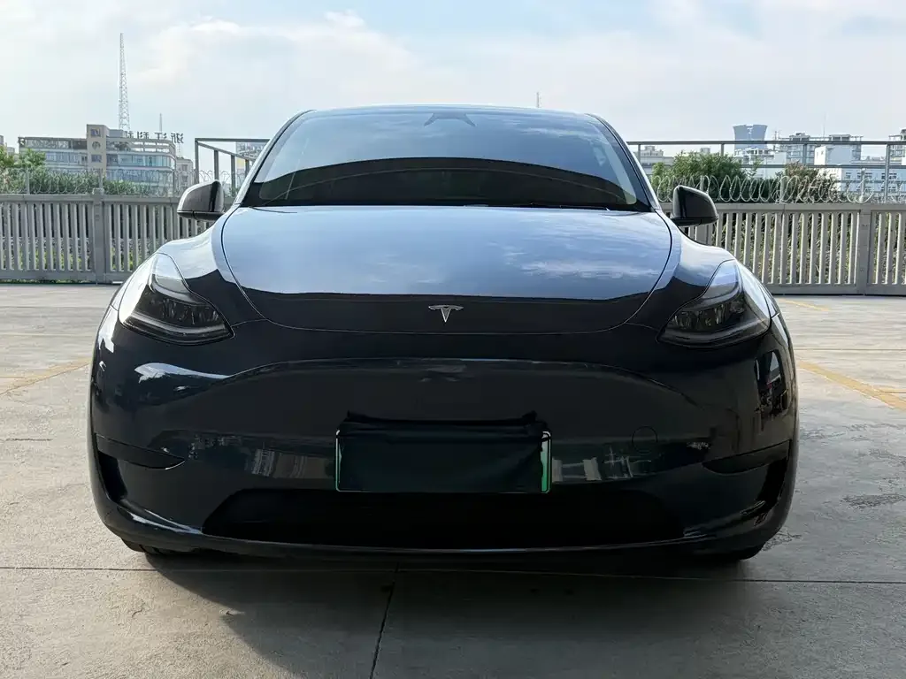 Tesla Model Y — фото 2