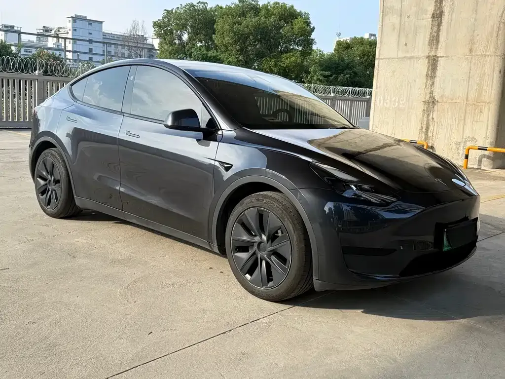 Tesla Model Y — фото 9