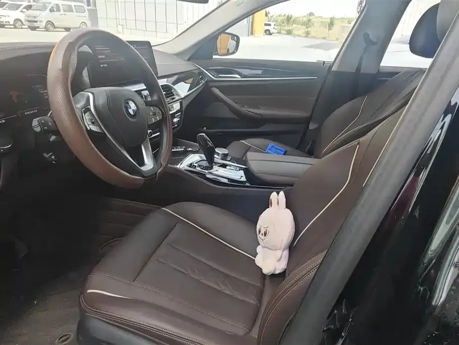 BMW 5 Series 2024 из CN, фото 9