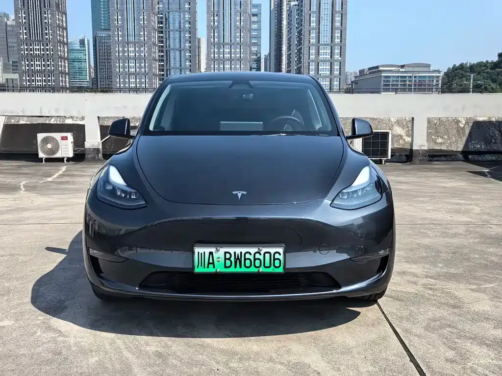 Tesla Model Y — фото 5