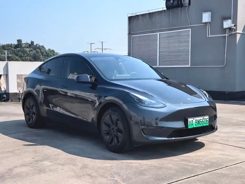 Tesla Model Y — фото 3