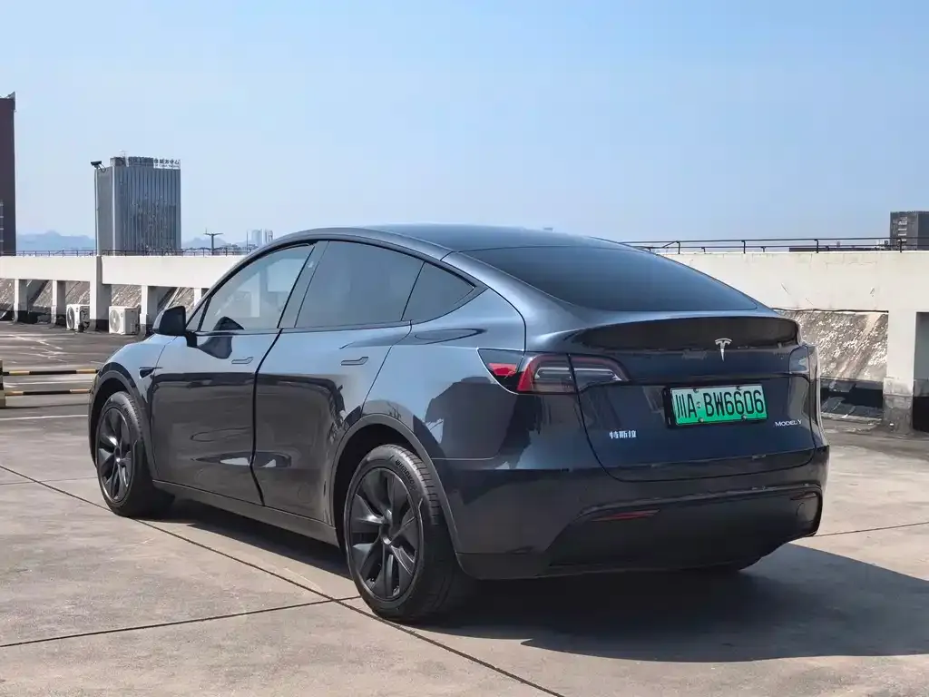 Tesla Model Y — фото 10