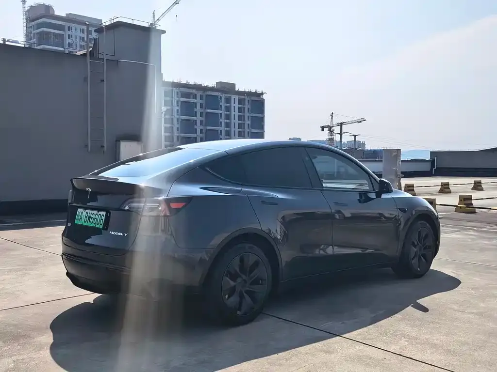 Tesla Model Y — фото 8