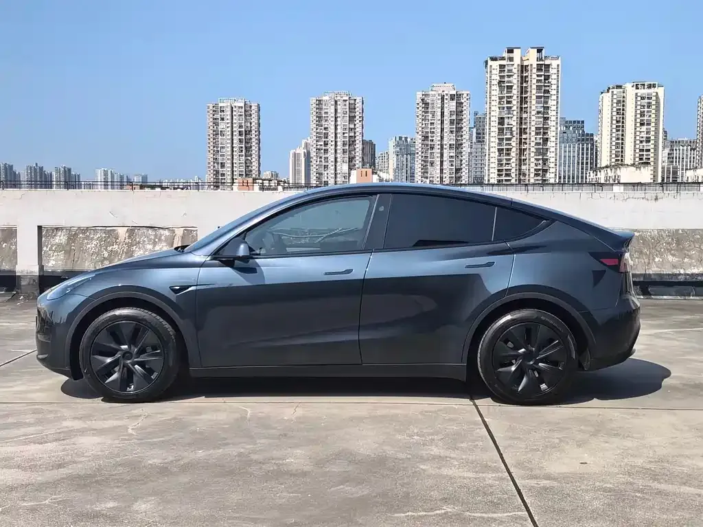 Tesla Model Y — фото 6