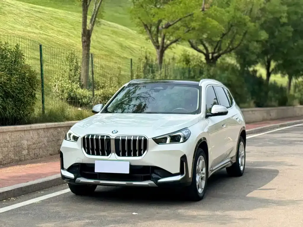 BMW X1 — фото 1