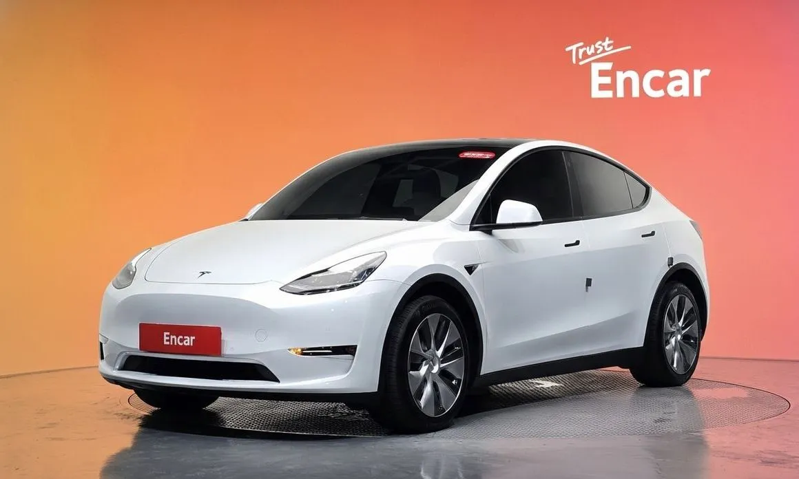 Tesla Model Y — фото 1