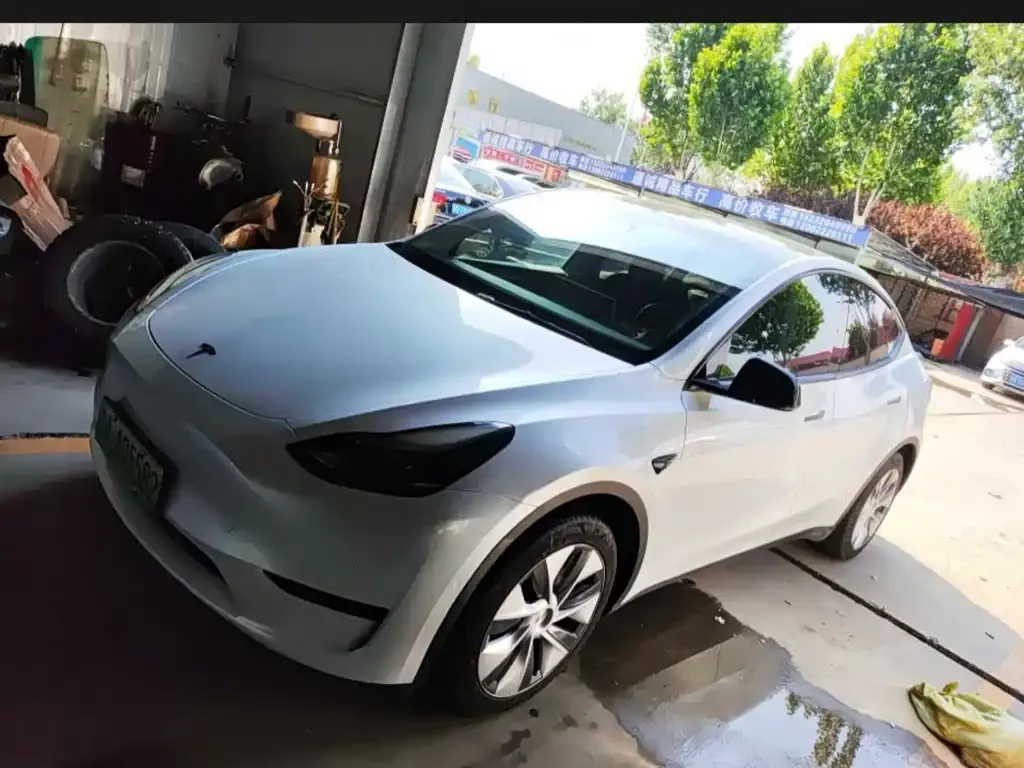 Tesla Model Y — фото 10