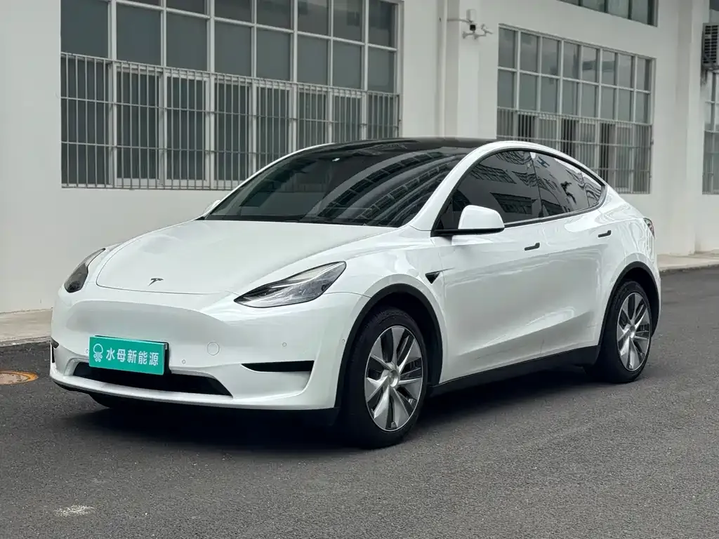 Tesla Model Y — фото 1