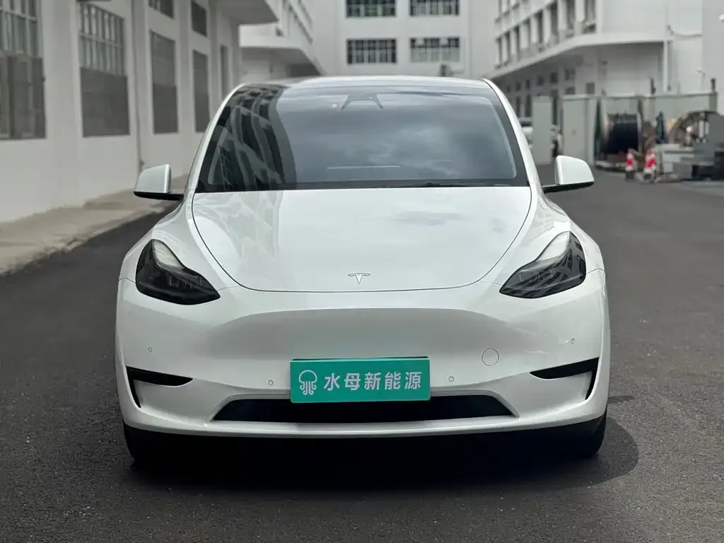 Tesla Model Y — фото 3