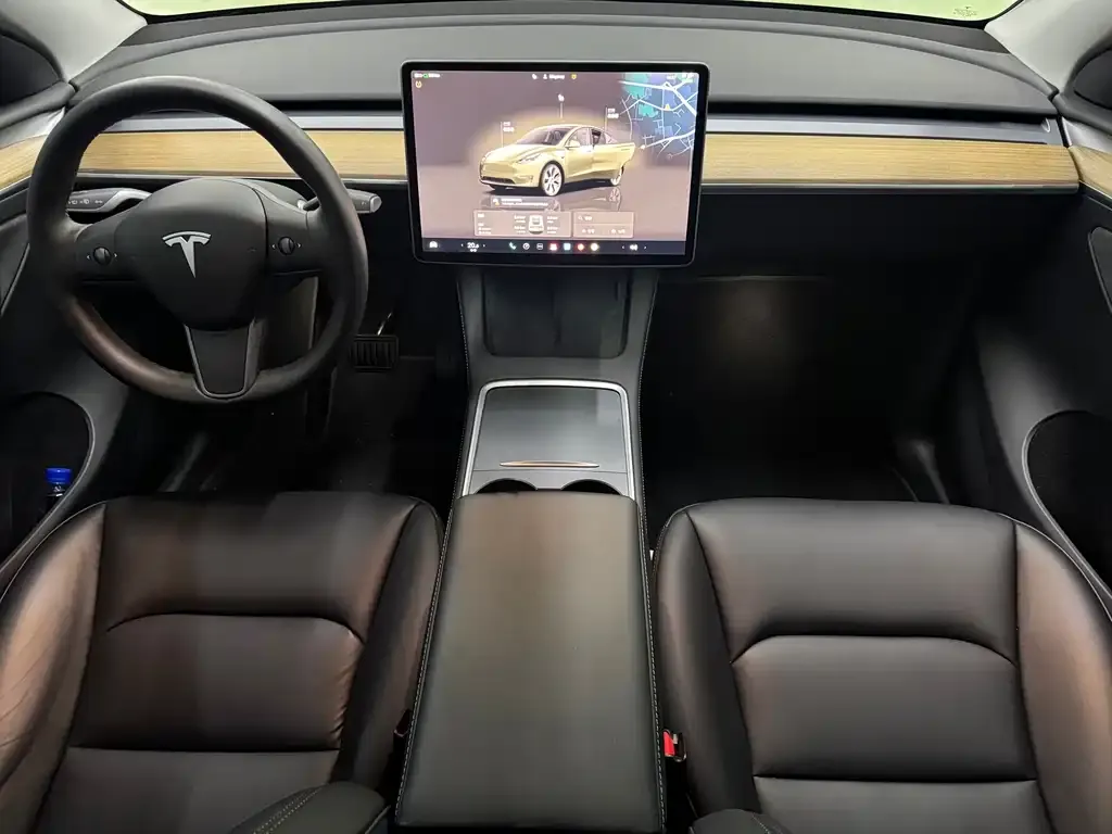 Tesla Model Y — фото 8