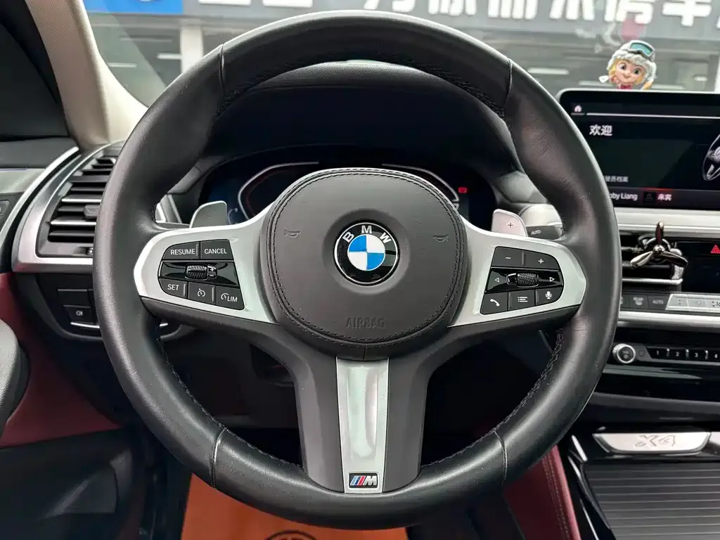 BMW X4 — фото 3