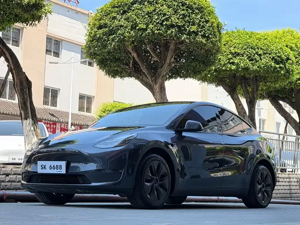 Tesla Model Y — фото 1