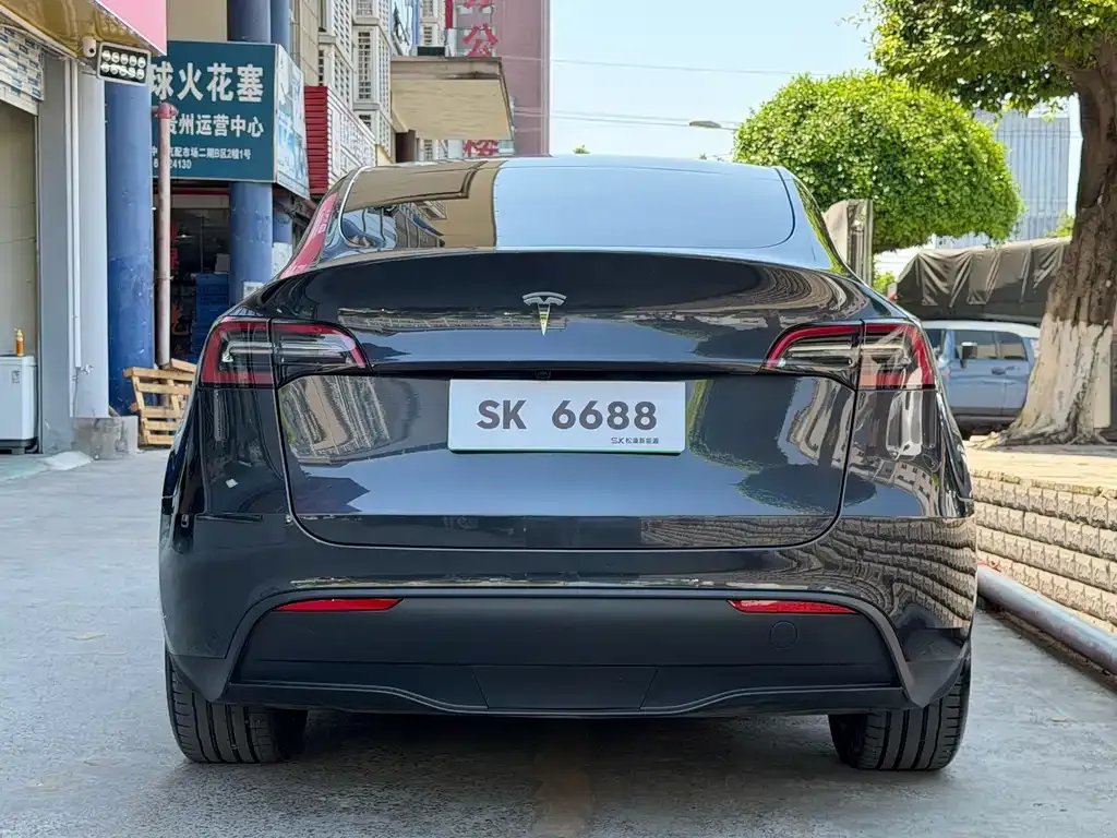 Tesla Model Y — фото 2