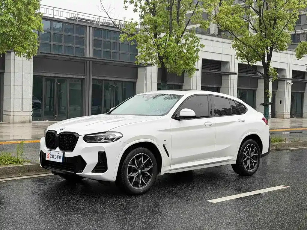 BMW X4 — фото 8