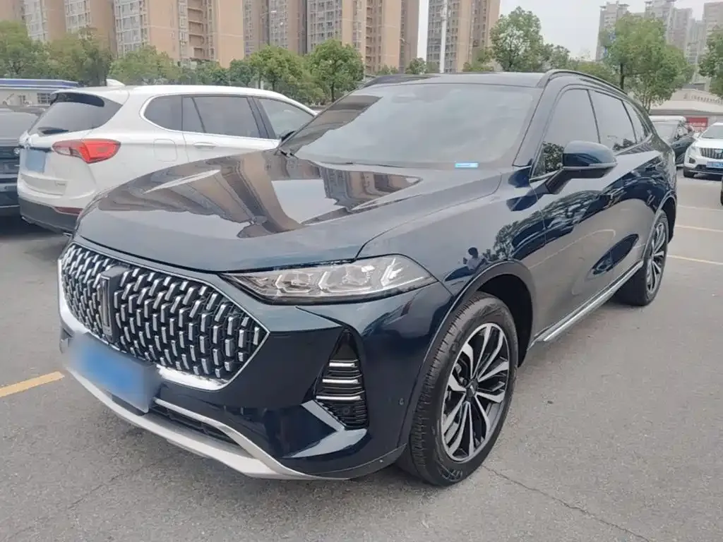 Wey Mocha — фото 4