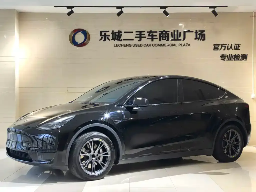 Tesla Model Y — фото 1