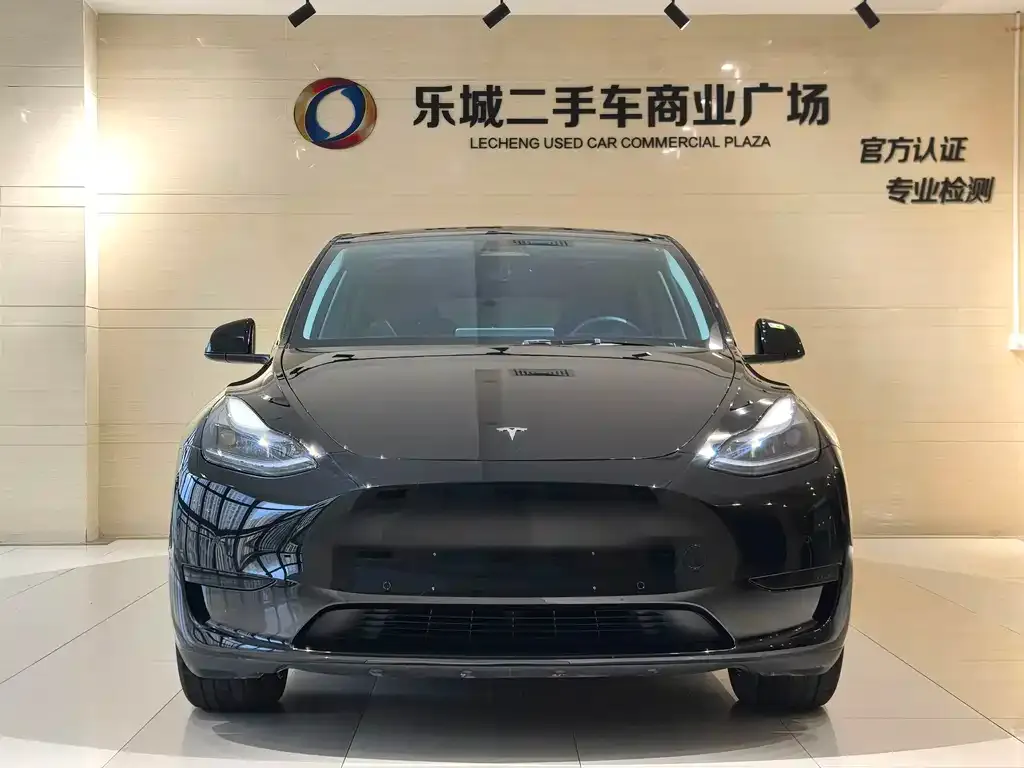Tesla Model Y — фото 7