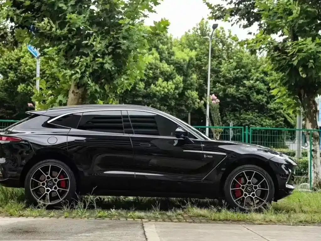 Aston Martin DBX — фото 5