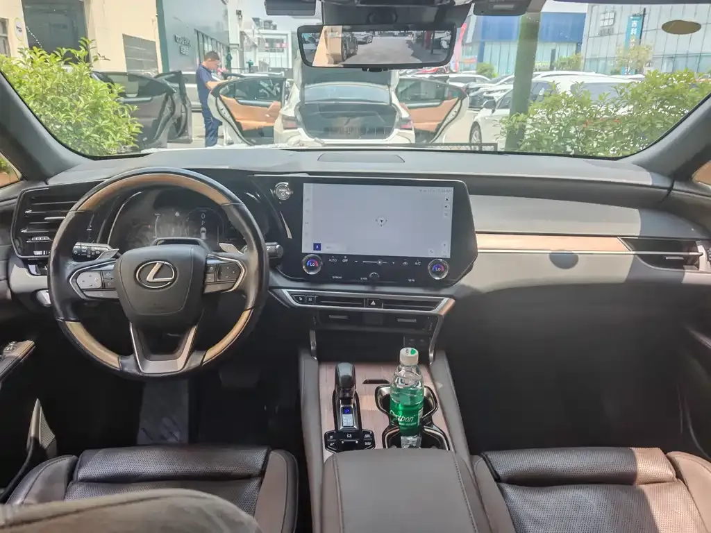 Lexus RX New Energy — фото 7