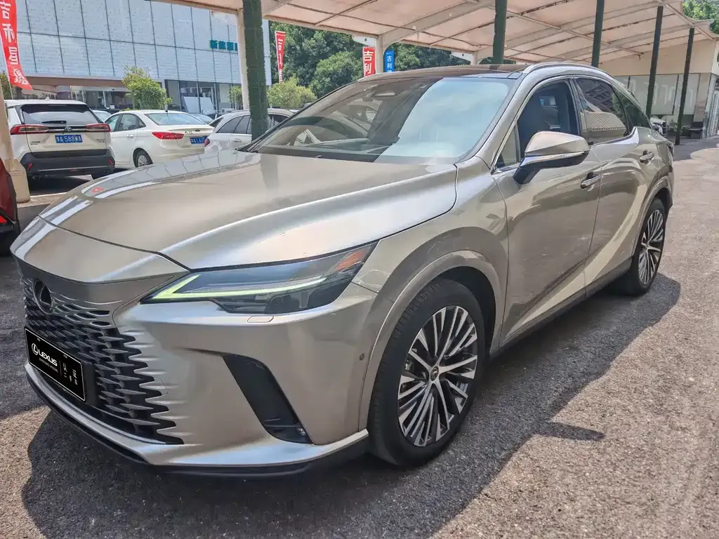 Lexus RX New Energy — фото 8