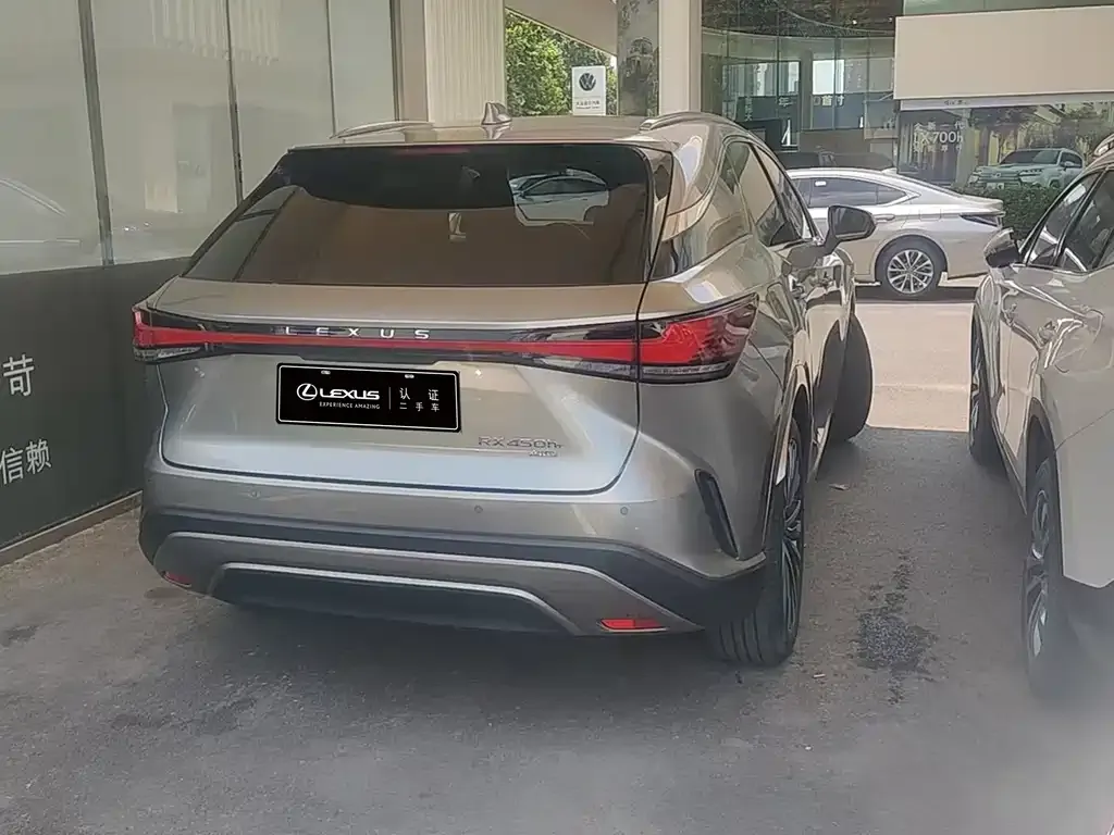 Lexus RX New Energy — фото 6