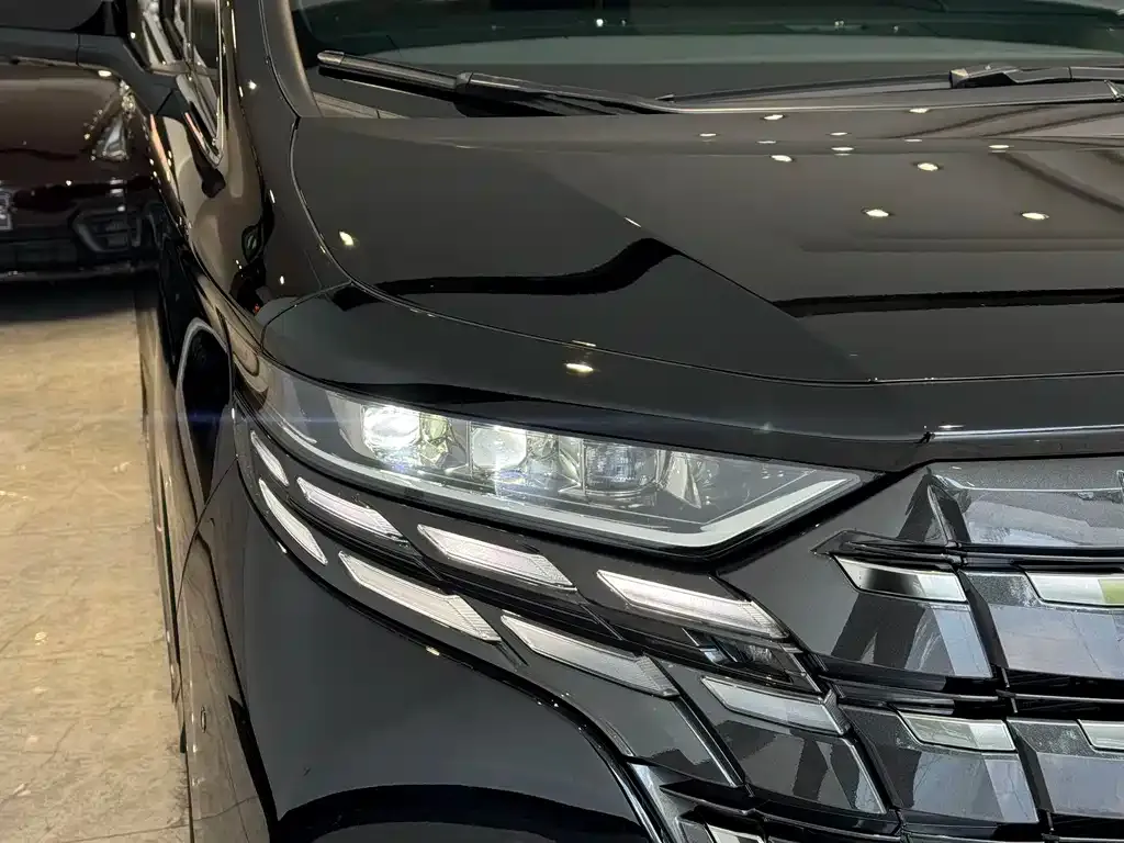 Toyota Alphard — фото 10