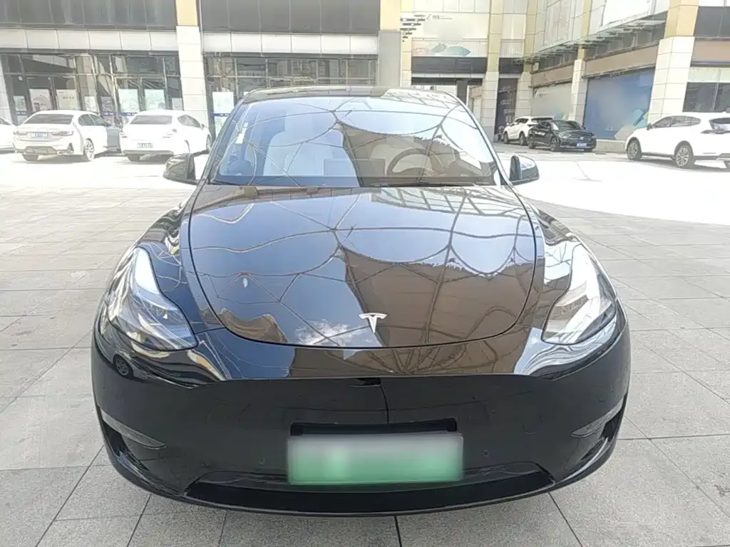 Tesla Model Y — фото 8