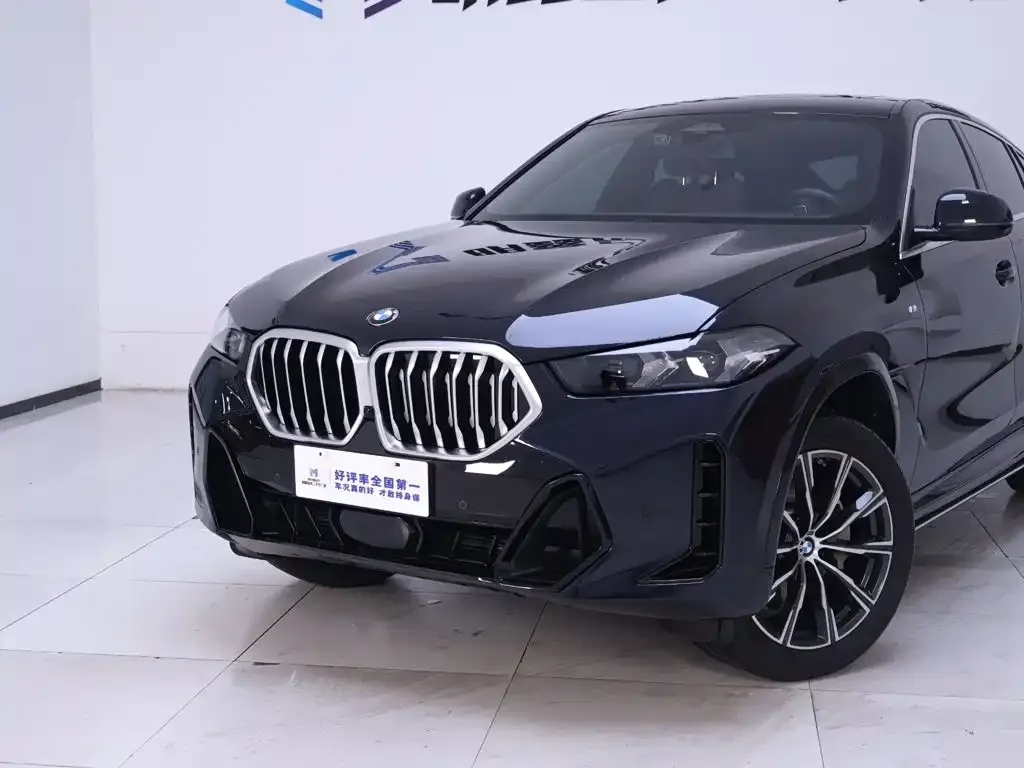 BMW X6 — фото 10