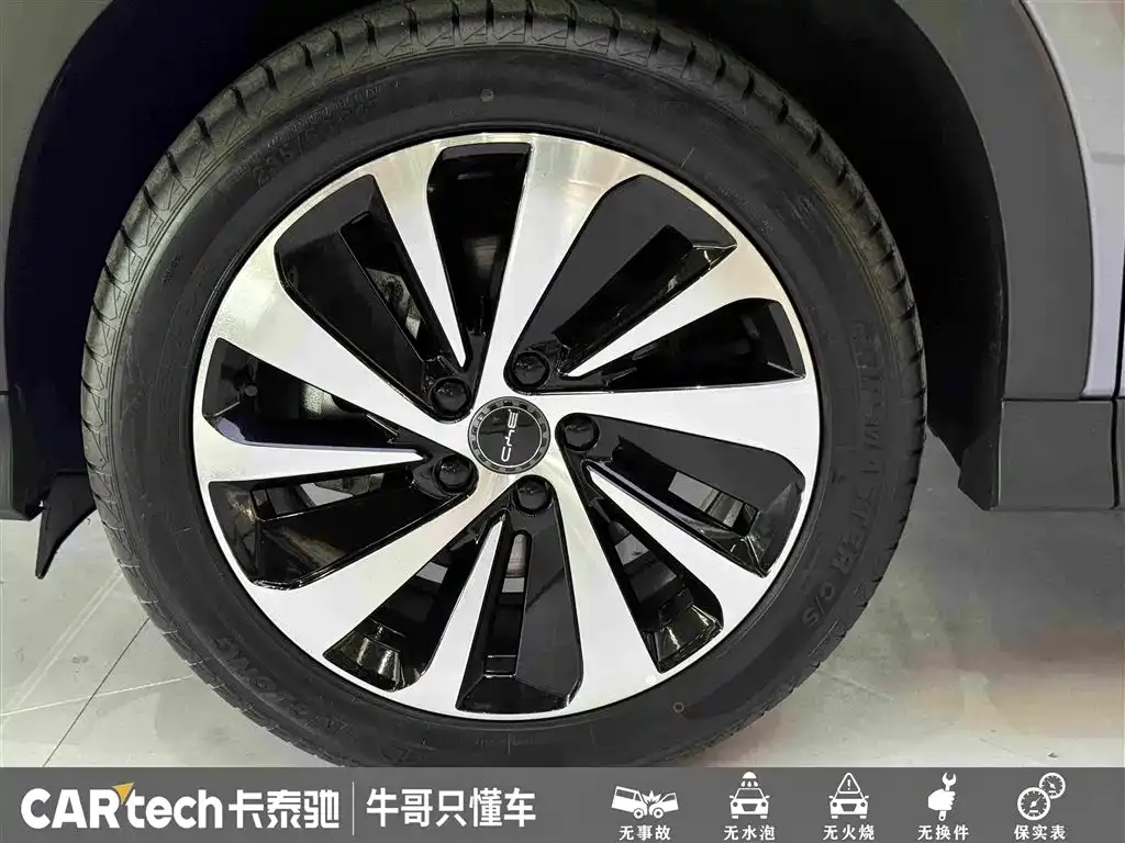 BYD PLUS New Energy — фото 4