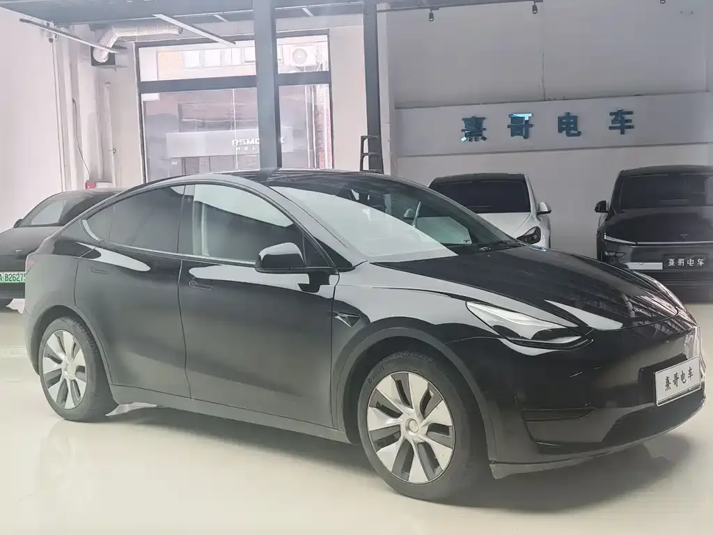 Tesla Model Y — фото 6