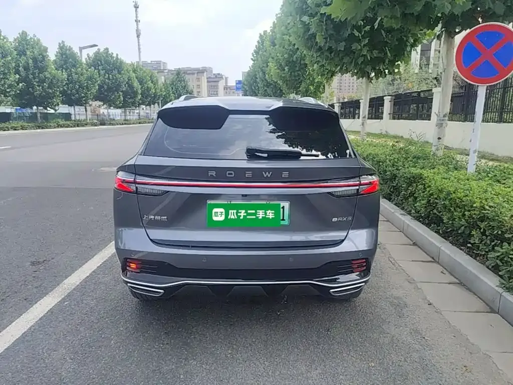 Roewe RX5 New Energy — фото 6